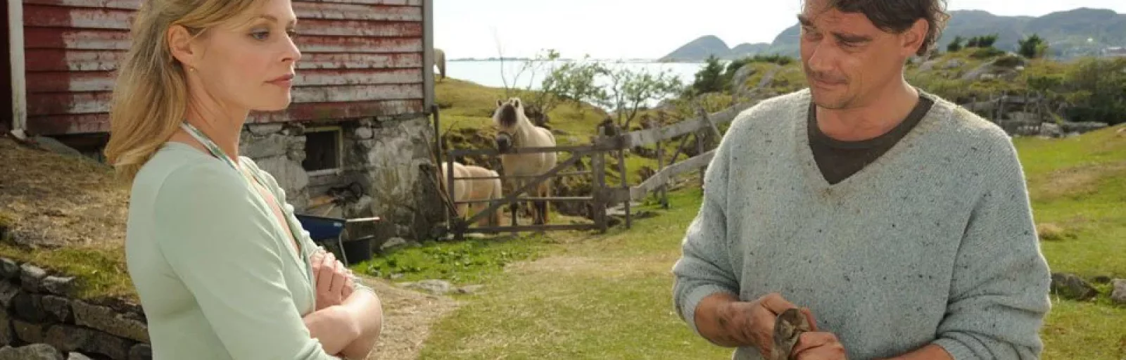 Liebe am Fjord – Sommersturm