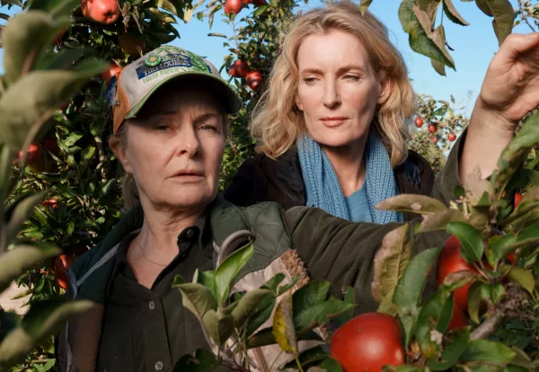 TATORT AUS HANNOVER | LINDHOLM